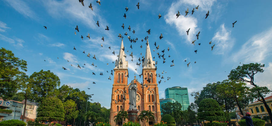 Ho Chi Minh City Flying Birds Wallpaper