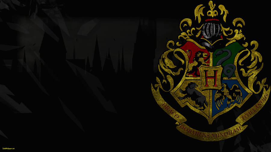 Hogwarts Houses With Campus Silhouette Harry Potter Ipad Wallpaper