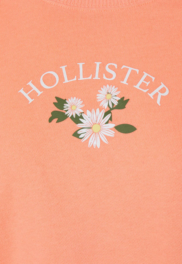 Hollister Three White Flower Illustration Wallpaper