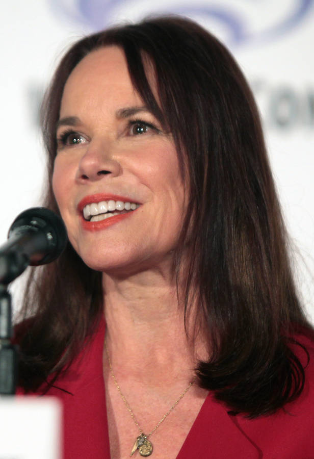 Hollywood Star Barbara Hershey Speaking Wallpaper