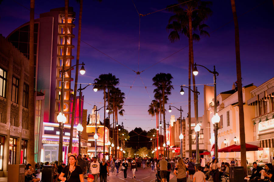 Hollywood Street Lights Wallpaper