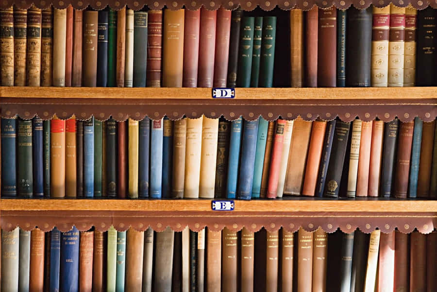 Home Library Wooden Shelves Wallpaper