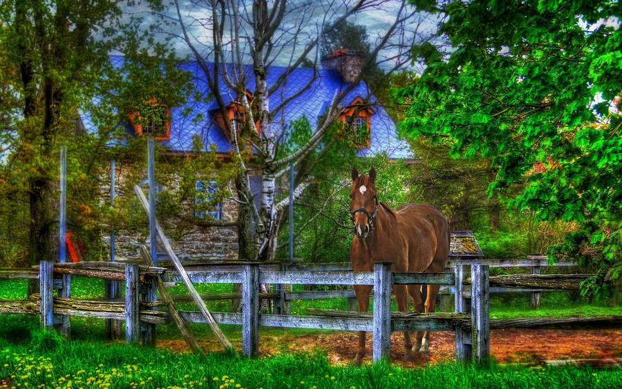 Horse And House Digital Art Wallpaper