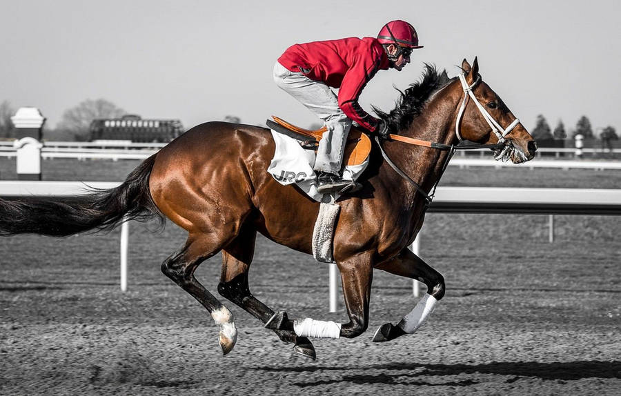 Horse Racing In A Gray Setting Wallpaper