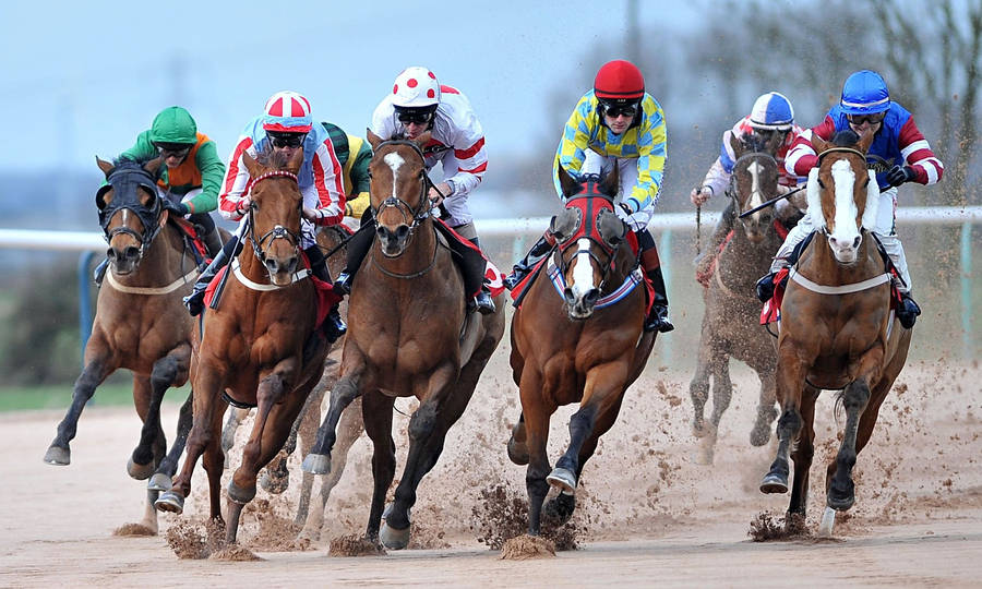 Horse Racing On A Rainy Day Wallpaper