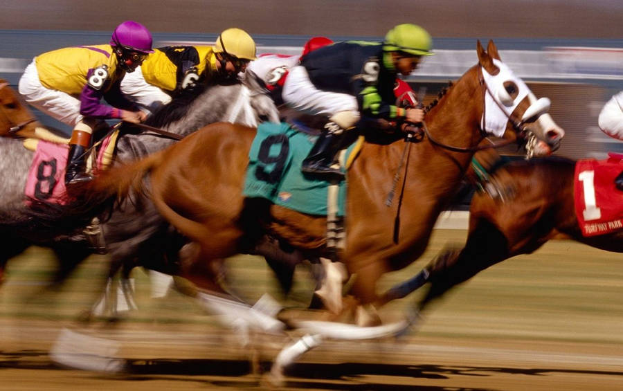 Horse Riders Number In Horse Racing Wallpaper