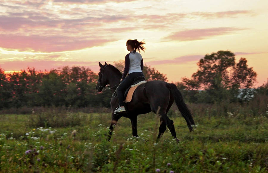 Horse Riding Woman Medieval Village Sunset Wallpaper