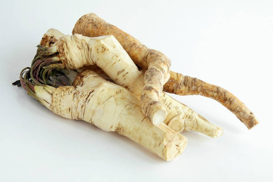 Horseradish Root Plant Wallpaper