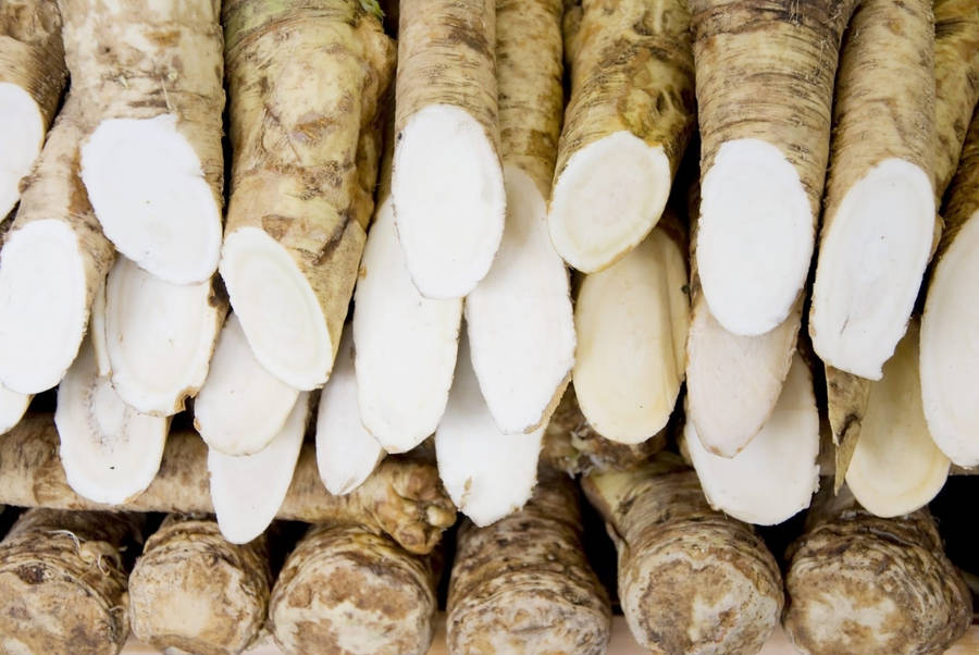 Horseradish Root Veggies Wallpaper