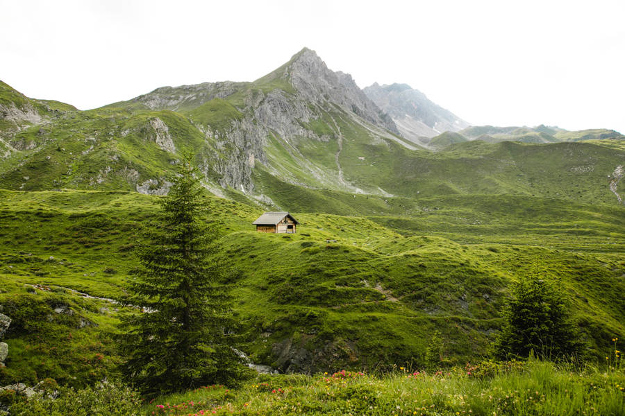 House Among Greenery Wallpaper