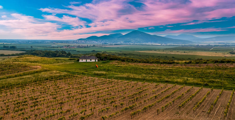 House In Farm At Slovakia Wallpaper