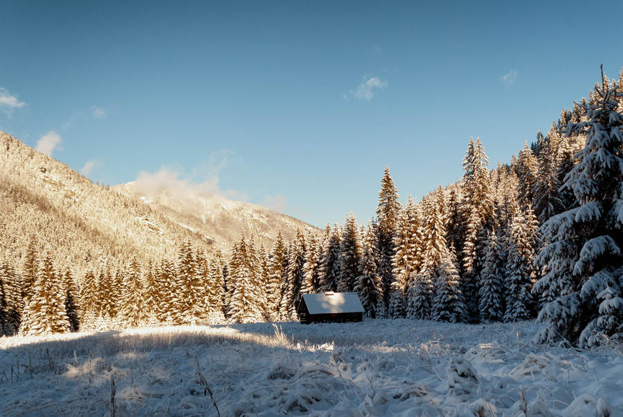 House In Forest Of Slovakia Wallpaper