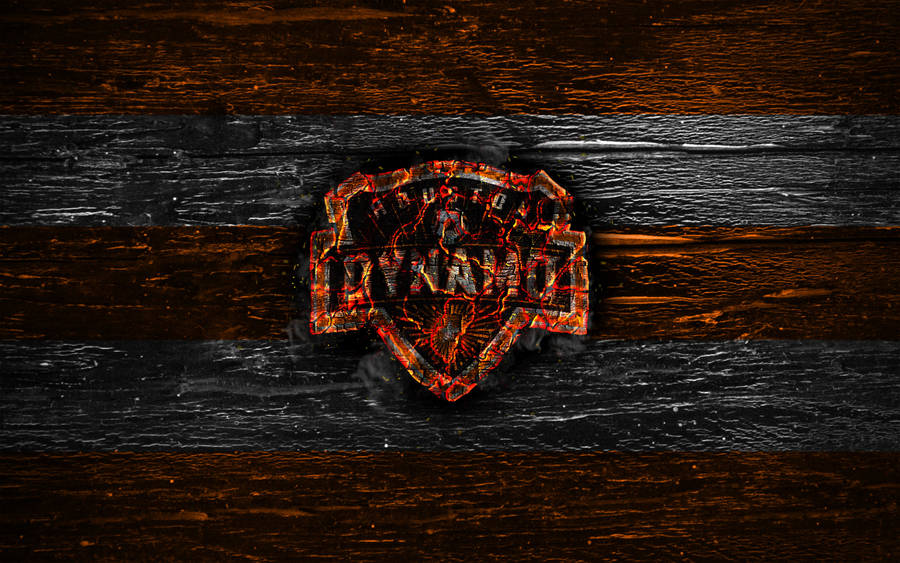 Houston Dynamo Stripes Wallpaper