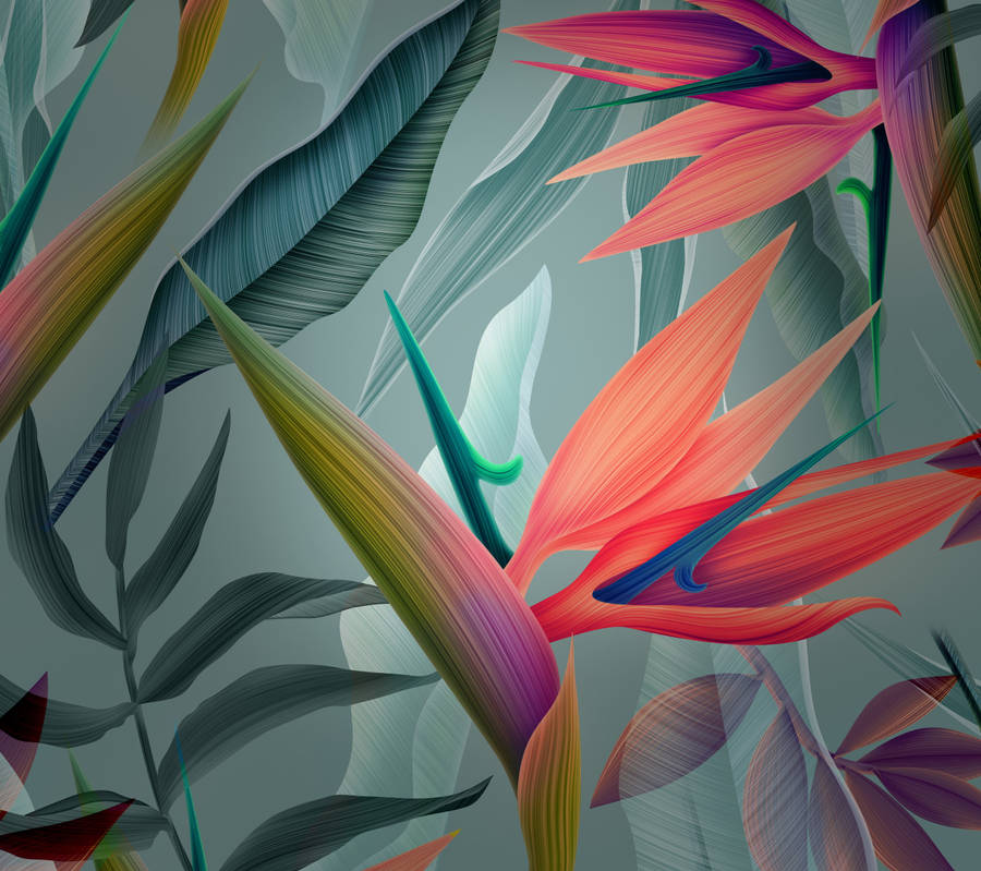 Huawei Leaves Painting Wallpaper