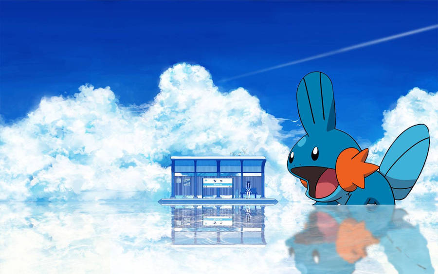 Huge Photo Of Mudkip Wallpaper