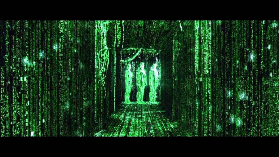 Human Holos In Green Matrix Hallway Wallpaper