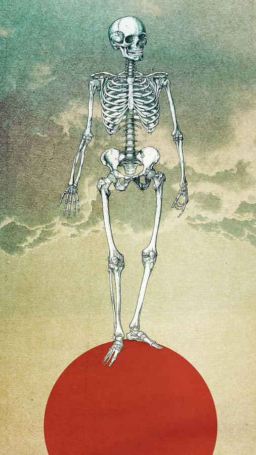 Human Skeleton Standingon Red Sphere Wallpaper