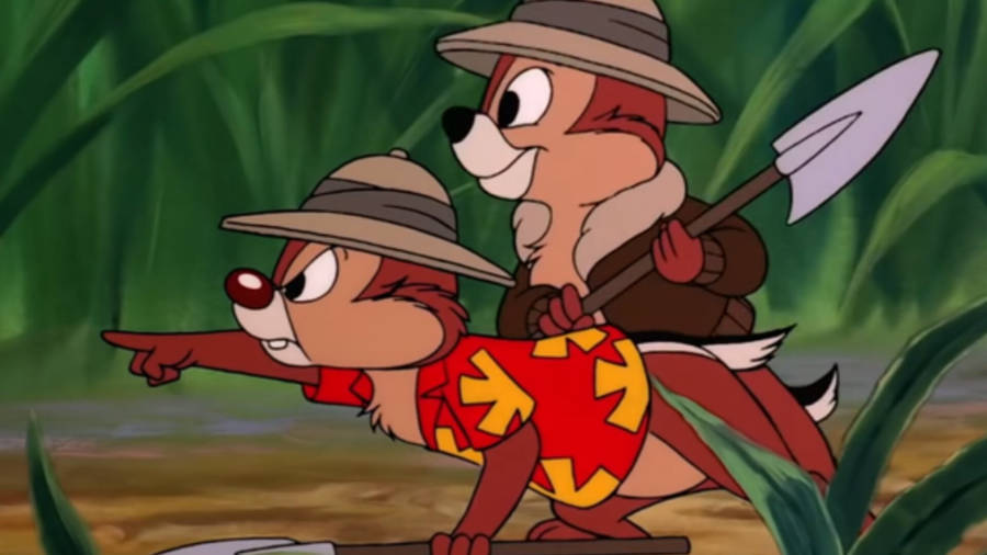 Humorous And Adventurous Chip 'n' Dale Wallpaper