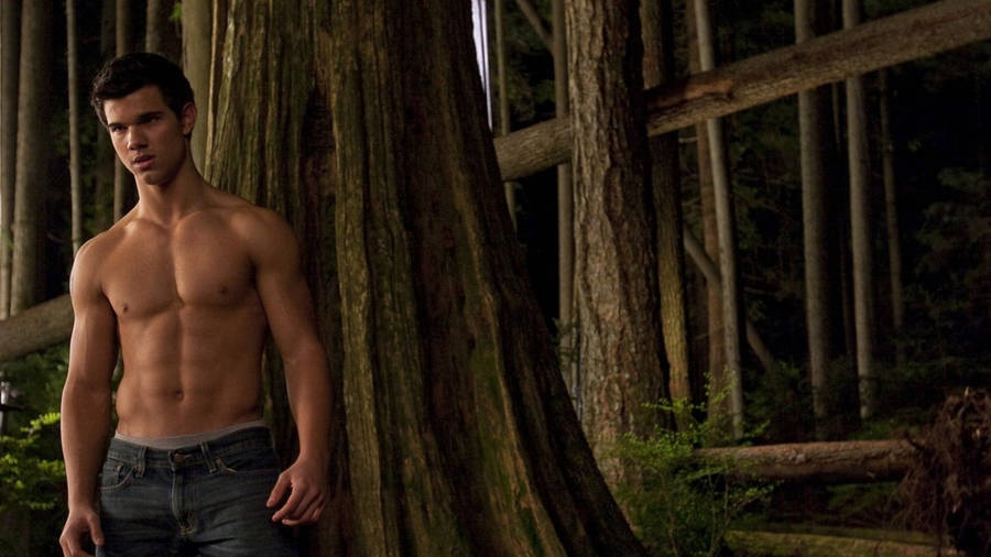 Hunk Taylor Lautner In Forest Wallpaper