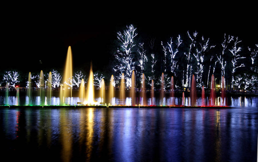 Ibirapuera Park Brazil Light Show Wallpaper