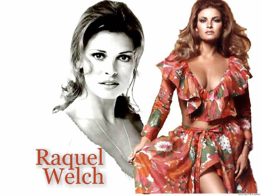 Iconic American Actress Raquel Welch In A Vintage Poster Wallpaper