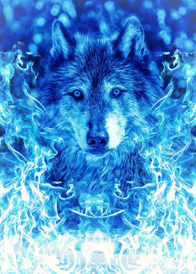 Icy Flame Blue Wolf Wallpaper