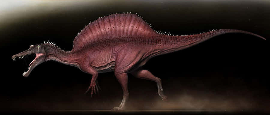 Image Giant Spinosaurus Feeding On Prey Wallpaper