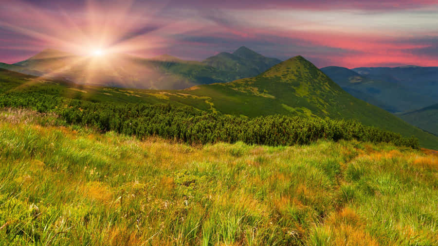 Image Snowcapped 4k Mountain Rising Above A Sunny Valley Wallpaper