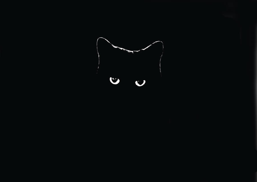 Incredible Black Cat Dark 4k Wallpaper