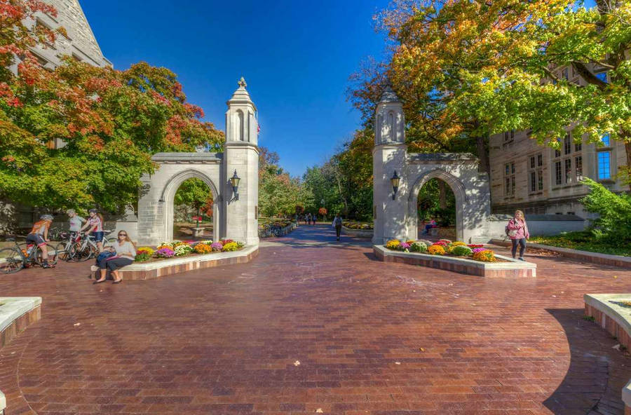 Indiana University Bloomington Entryway Wallpaper