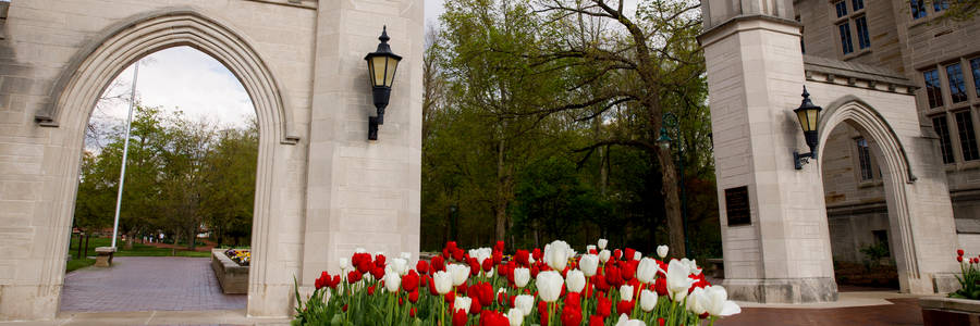 Indiana University Bloomington Gate And Flowers Wallpaper