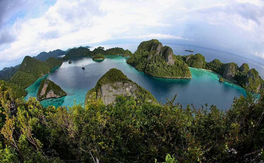 Indonesia Fish Eye View Wallpaper