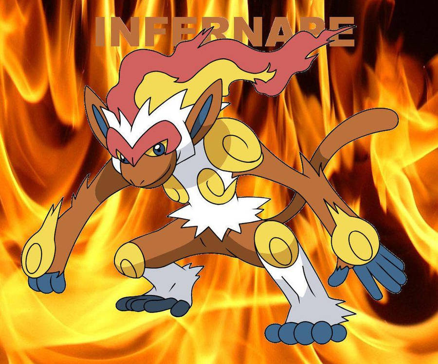 Infernape On Hind Legs Wallpaper