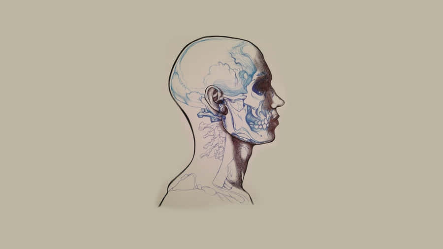 Inside Outside Head Image Wallpaper