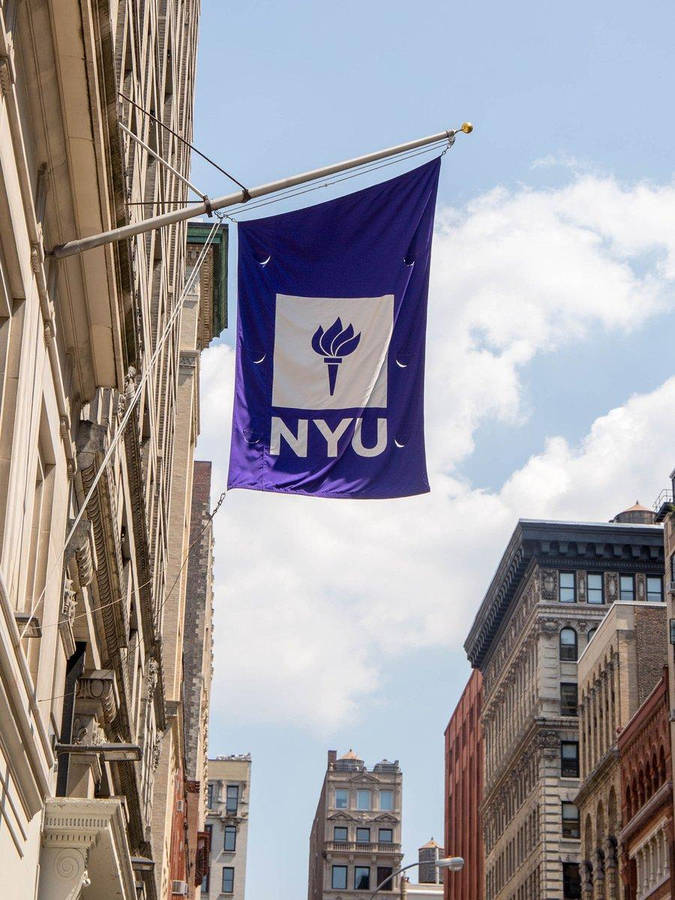 Inspiring Nyu Purple Hanging Banner Wallpaper