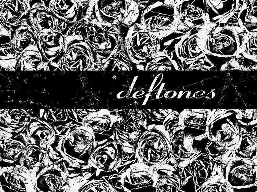 Intense Capture Of Deftones In Concert In Full Hd Wallpaper