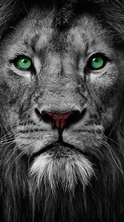 Intense_ Green_ Eyed_ Lion_ Portrait Wallpaper