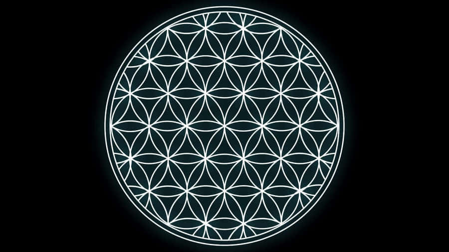 Intricate Sacred Geometry Patterns Wallpaper