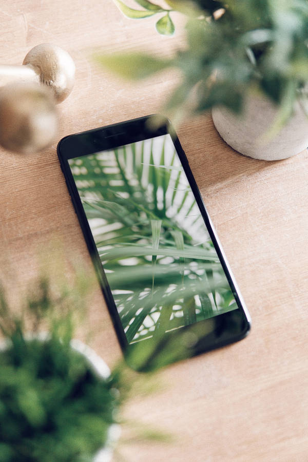 Iphone Desk With Plants Wallpaper