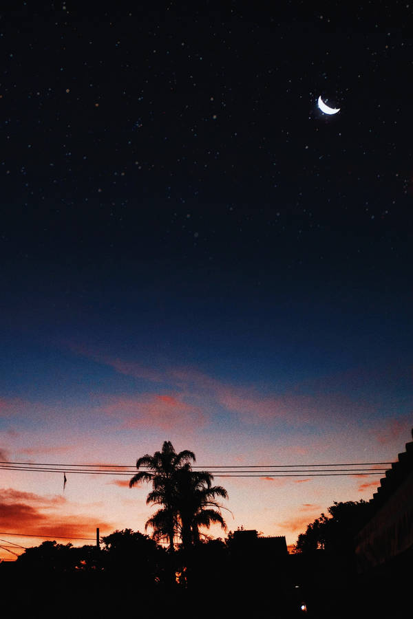 Iphone Home Screen Starry Sky Wallpaper