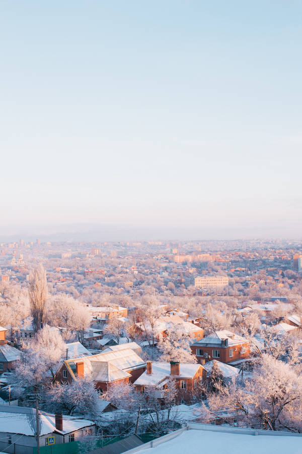 Iphone Lock Screen Snow Trees Wallpaper