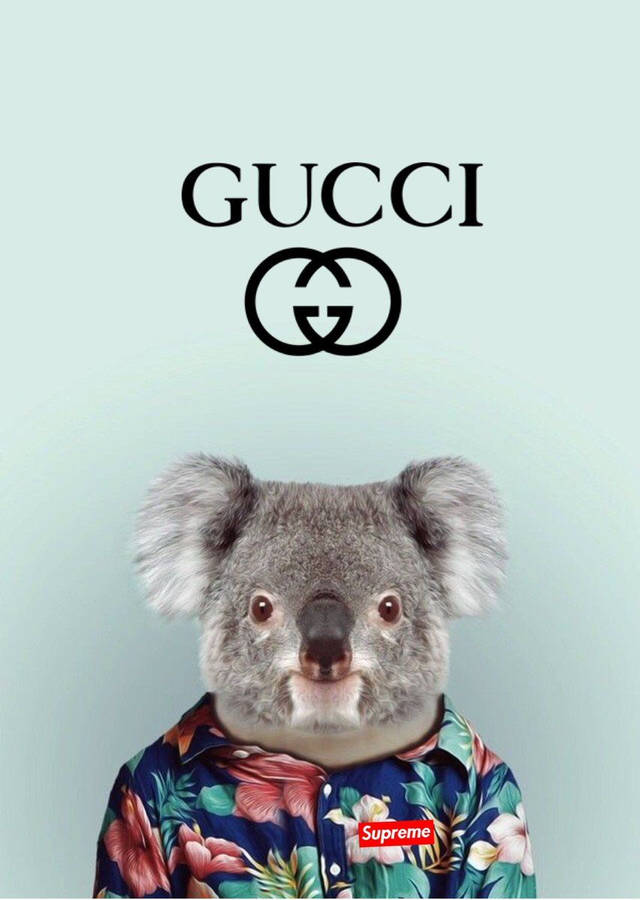 Iphone Wallpaper - Gucci X Supreme Wallpaper Wallpaper