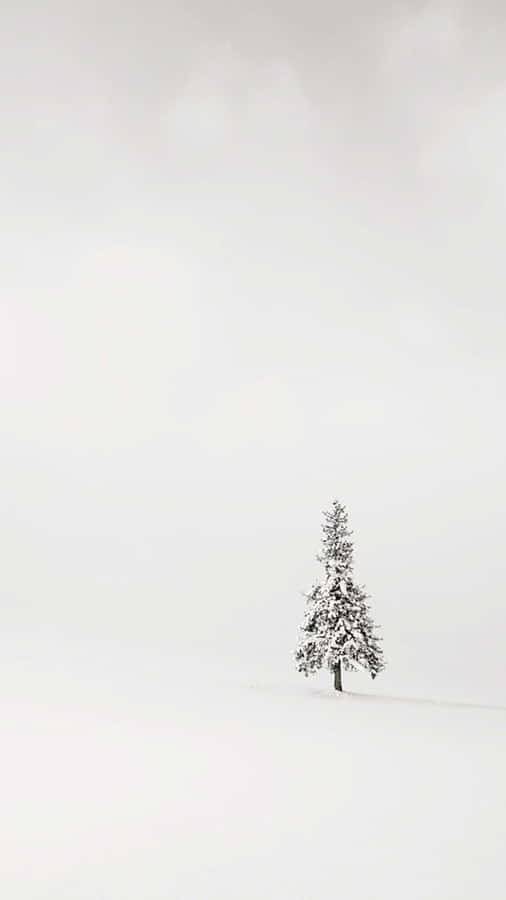 Iphone White Snowy Tree Wallpaper