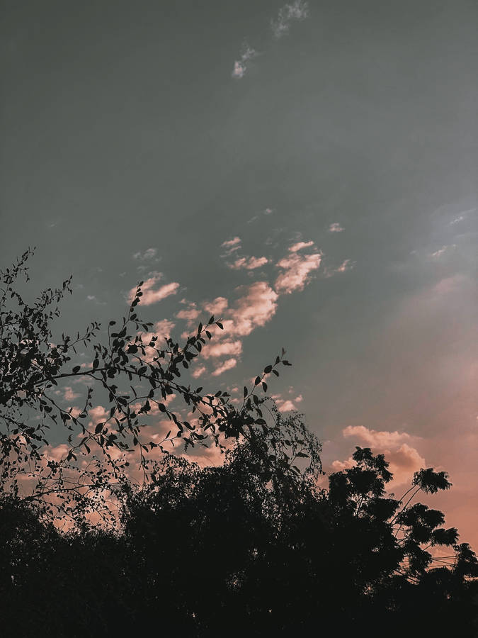 Iphone Xs Max Sky Shot Wallpaper