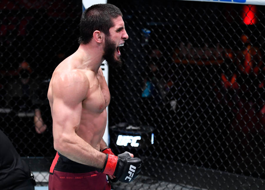 Islam Makhachev Roaring Wallpaper