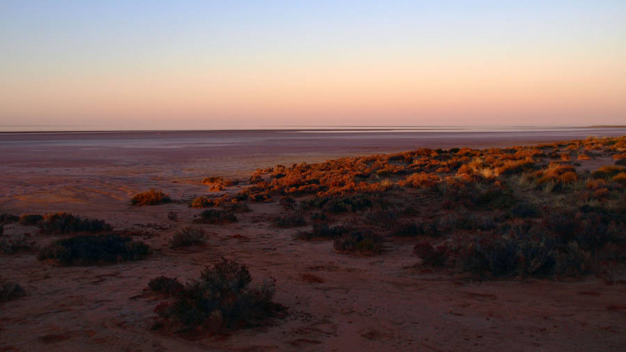 Isolated Australian Outback Wallpaper