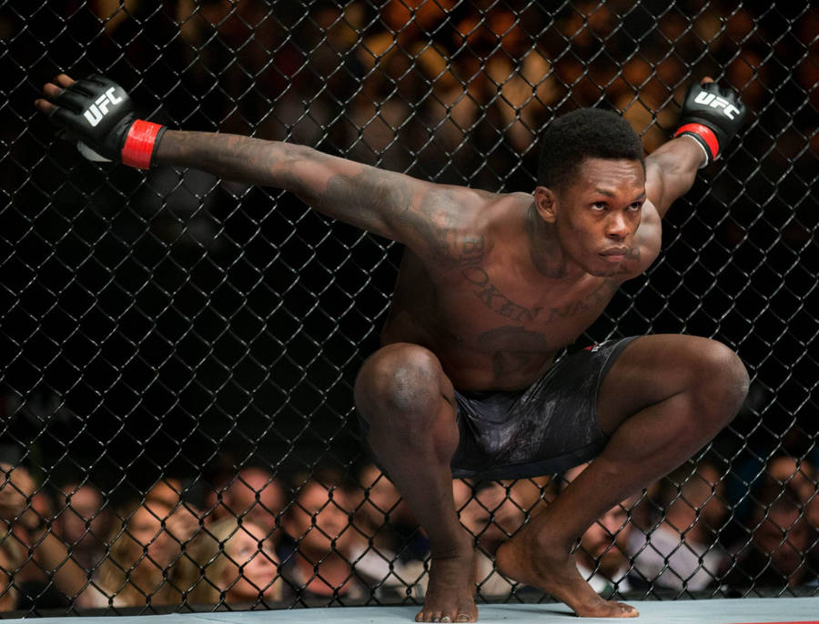 Israel Adesanya On Fence Wallpaper