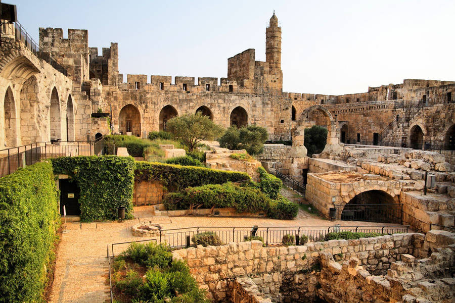 Israel Tower Of David Wallpaper