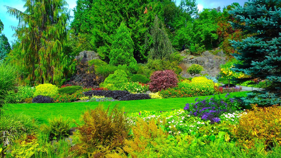 Istanbul's Green Garden In Fine Day Wallpaper