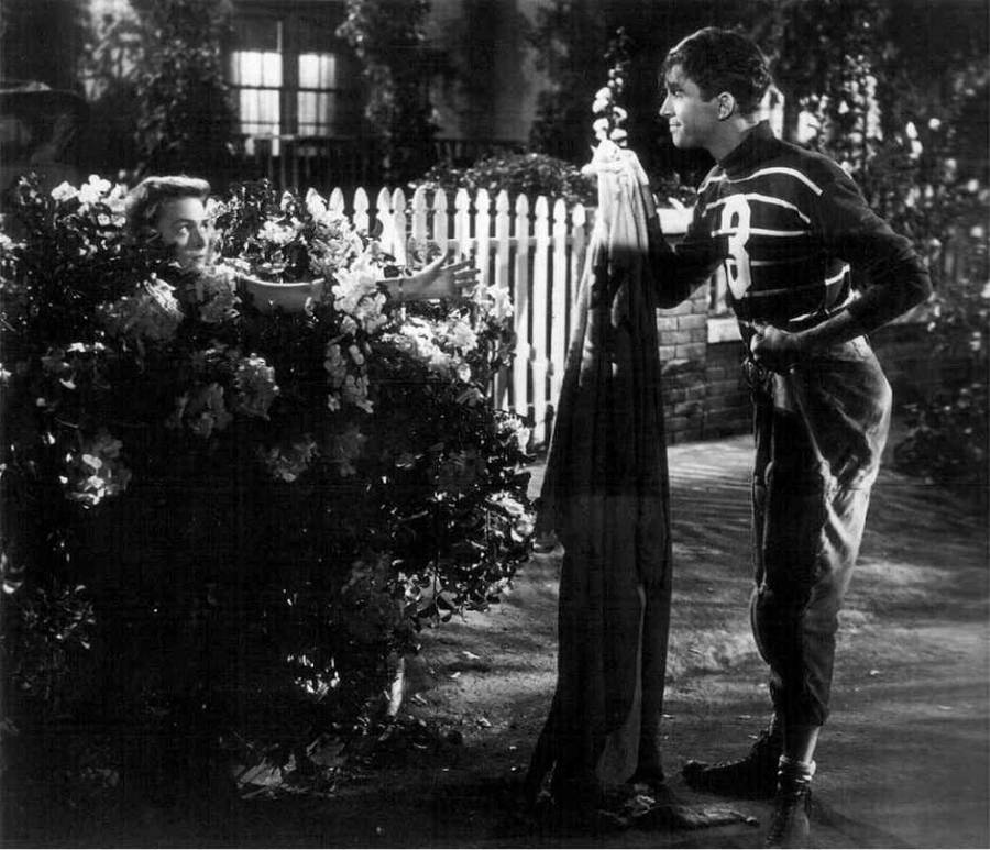 It's A Wonderful Life Donna Reed James Stewart Lovers Wallpaper